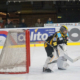 Goalie Bayreuth Tigers