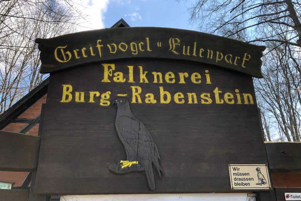 Die Falknerei in der Burg Rabenstein bietet regelmäßige Vogelschauen. Bild: Redaktionsarchiv