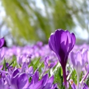 Der Frühling in Oberfranken. Symbolbild: pixabay