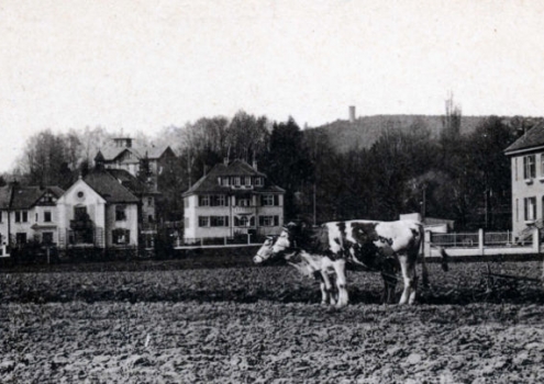 Gartenstadt-Villen an der Nibelungenstraße. Foto: Archiv Bernd Mayer