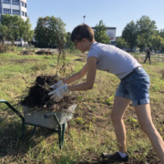 Anne Reinhard sammelt lose Pflanzen für den Naturgarten in einer Schubkarre. Archivfoto: Redaktion