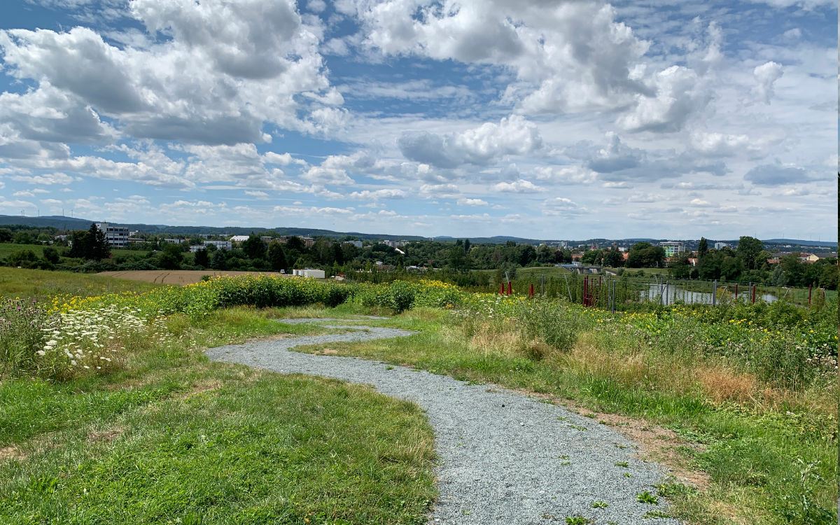 Dieser Weg führt zum neuen Aussichtspunkt in Bayreuth. Foto: Katharina Adler