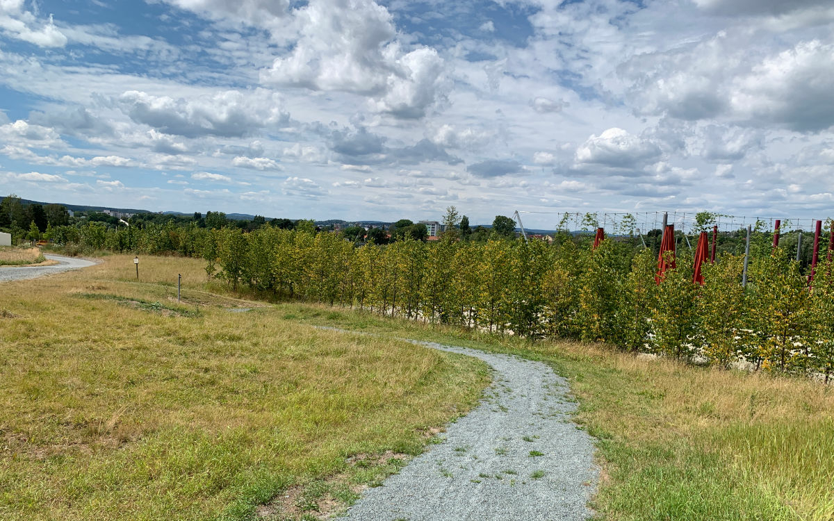 Der Weg zum Bayreuther Aussichtspunkt. Foto: Katharina Adler