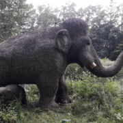 Das Mammut am Bayreuther Röhrensee wurde demoliert. Foto: privat