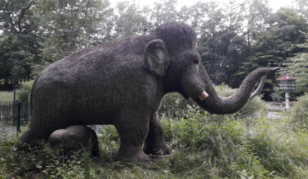 Das Mammut am Bayreuther Röhrensee wurde demoliert. Foto: privat