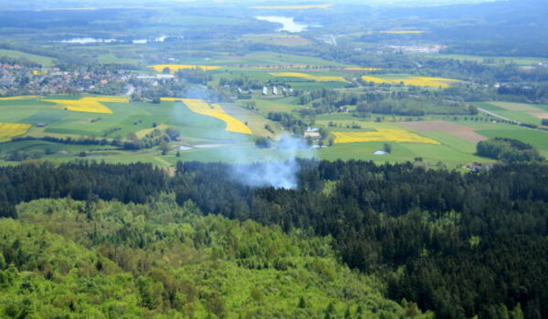 Die Waldbrandgefahr in Bayreuth ist nach Angaben des DWD 