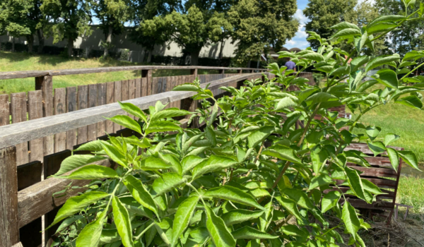 Brücke am Sportpark. Foto: Frederik Eichstädt