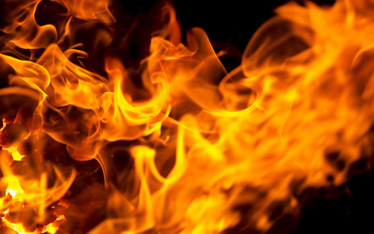 Feuer in Goldkronach ausgebrochen. 80 Kaninchen sind bei dem Brand gestorben. Symbolbild: pixabay