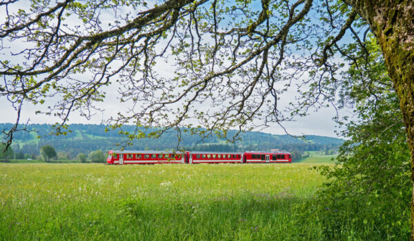 Der Kreistag hat sich mit der Frage beschäftigt, wie sich der Bahnverkehr im Landkreis Bayreuth entwickeln soll. Symbolfoto: pixabay