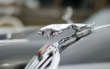 Unfall: Ein Jaguar ist auf der A9 in die Böschung geschleudert. Symbolfoto: Pixabay