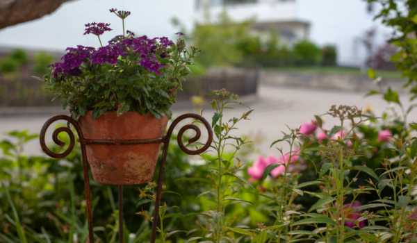 Gartenarbeiten in Bayreuth: Darauf muss geachtet werden. Symbolfoto: pixabay