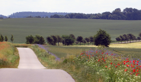 Am Montag (2.11.2020) hat sicher der Kreisausschuss mit dem Geh- und Radwegenetz im Landkreis Bayreuth beschäftigt. Symbolfoto: pixabay