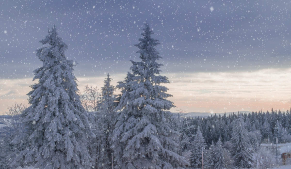 Eine verschneite Winterlandschaft. Foto: pixabay