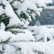 Schneemassen haben im Kreis Kulmbach für mehrere Einsätze der Rettungskräfte gesorgt. Symbolfoto: Pixabay