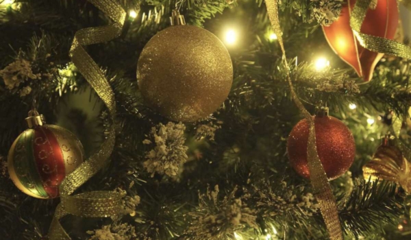 In Bayreuth werden Weihnachtsbäume in einigen Stadtteilen kostenfrei abgeholt. Symbolfoto: Pixabay