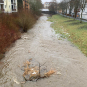 Warnung vor Hochwasser in Bayreuth aufgehoben: So sah die Mistel (genannt Mistelbach) in Bayreuth am Freitagvormittag aus. Foto: Redaktion