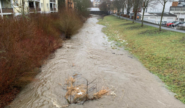 Warnung vor Hochwasser in Bayreuth aufgehoben: So sah die Mistel (genannt Mistelbach) in Bayreuth am Freitagvormittag aus. Foto: Redaktion