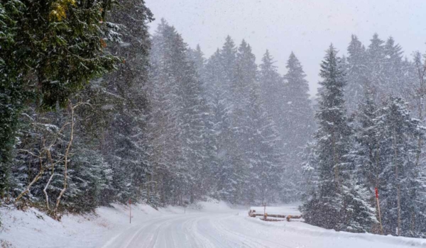 Schnee, Gewitter, Windböen und Glätte: Der DWD warnt vor extremen Wetter in Bayreuth. Symbolfoto: Pixabay