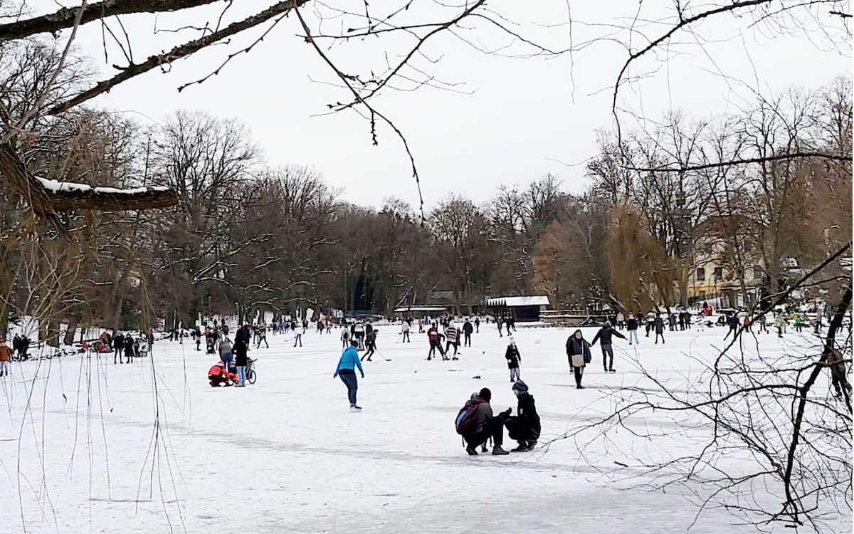 Schlittschuhfahren auf dem Röhrensee in Bayreuth. Doch die Eisfläche war und ist gesperrt - es besteht Lebensgefahr. Foto: Neele Boderius