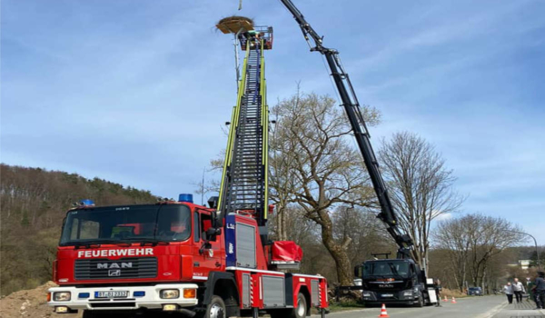 Die Feuerwehr Bindlach hat in Bad Berneck ein Storchennest erbaut. Foto: Feuerwehr Bindlach