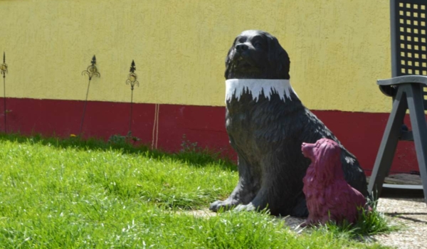 Das Tierheim in Bayreuth: Diese Hunde brauchen dringend ein liebe- und verständnisvolles neues Zuhause. Foto Raphael Weiß