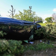 Ein Auto kracht im Landkreis Forchheim in eine Baumschule. Bild: NEWS 5/Merzbach