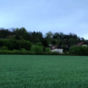 Weiterhin grüne Wiese statt Photovoltaik: Der Blick auf den Bindlacher Ortsteil Röhrig von der Autobahnunterquerung bei Eckershof. Bild: Jürgen Lenkeit