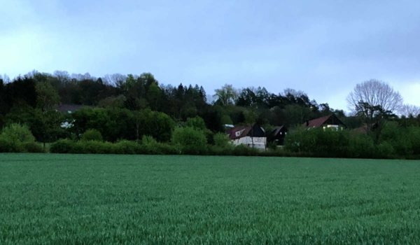 Weiterhin grüne Wiese statt Photovoltaik: Der Blick auf den Bindlacher Ortsteil Röhrig von der Autobahnunterquerung bei Eckershof. Bild: Jürgen Lenkeit