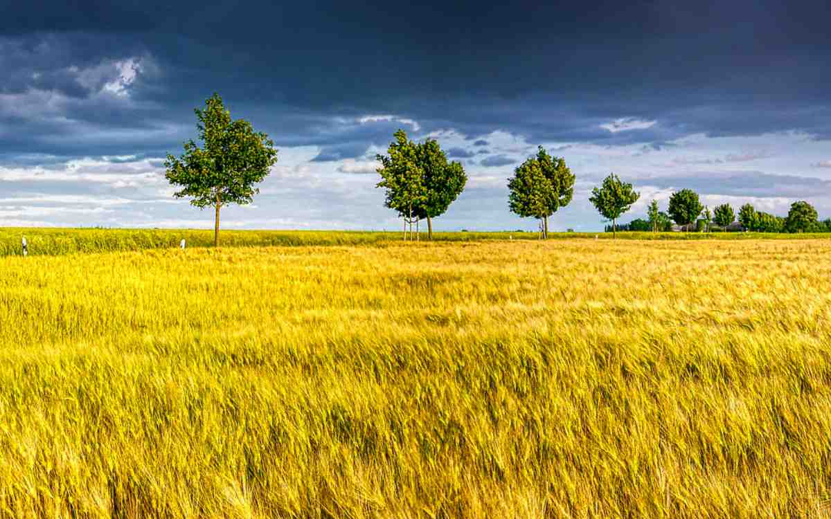 Sturmböen im Kreis Bayreuth gemeldet: Der Deutsche Wetterdienst warnt. Symbolbild: Pixabay