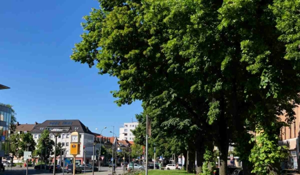 Klimaschutz in Bayreuth: Die Stadtverwaltung sieht die 