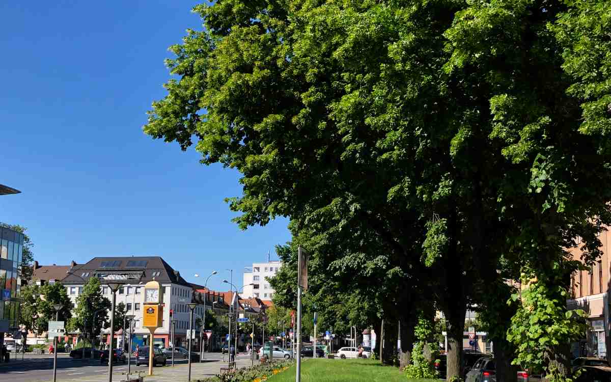 Klimaschutz in Bayreuth: Die Stadtverwaltung sieht die "Notwendigkeit, auf laufende oder umgesetzte Maßnahmen" hinzuweisen. Archivbild: Jürgen Lenkeit