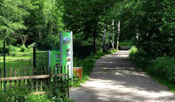 Der Tierpark Röhrensee ist Teil von Bayreuths lebendigem Süden. Bild: Jürgen Lenkeit