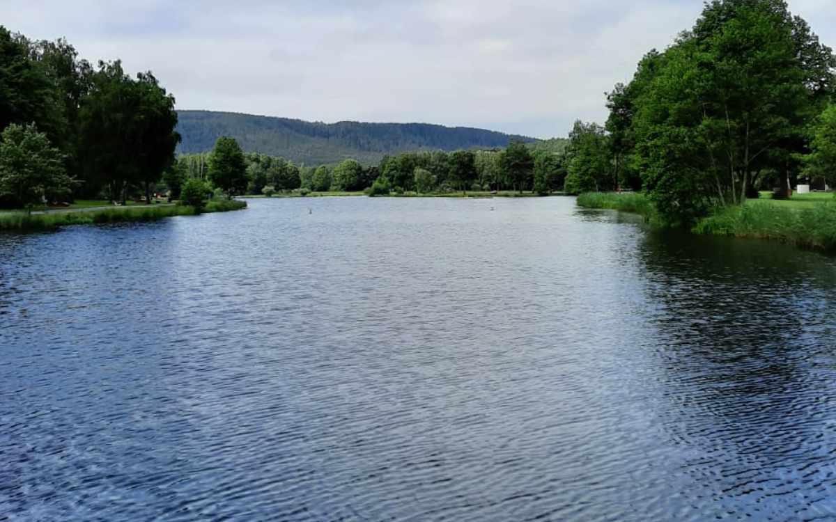 Der See in Trebgast gehört zu den beliebten Badeseen bei Bayreuth. Bild: Jürgen Lenkeit