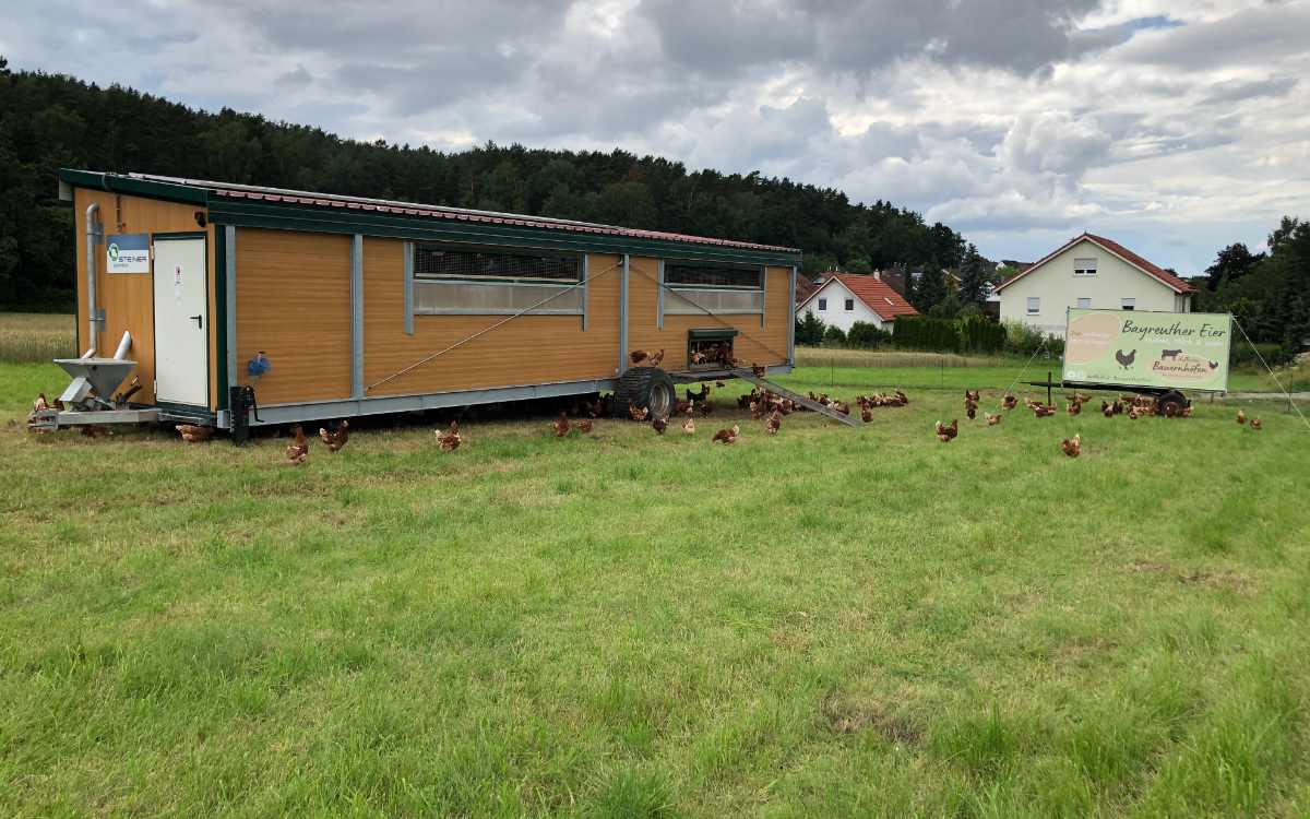 Die Hühner vom Hof Bauernhöfen sollen stets viel Platz für Auslauf bekommen. Bild: Michael Kind