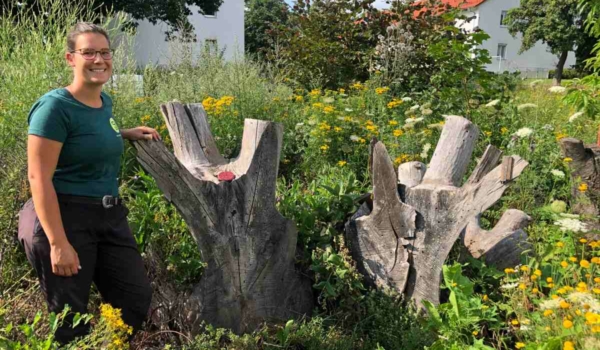 Projektmitarbeiterin Franzi Wagner bei den Natternkopf-Mauerbienen im Hortus Hammerstatt - einem Projekt der Summer in Bayreuth. Bild: Michael Kind