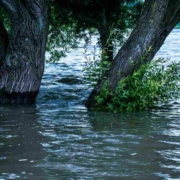 Wetterexperte Ochs warnt in der Region vor Hochwasser und starken Sturmböen. Symbolbild: Pixabay