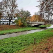 Auf den Mainwiesen bei der Mainbrücke hinter dem Kino wurde ein Wiesenstrand gewünscht. Daraus wird nichts. Bild: Jürgen Lenkeit