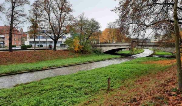 Auf den Mainwiesen bei der Mainbrücke hinter dem Kino wurde ein Wiesenstrand gewünscht. Daraus wird nichts. Bild: Jürgen Lenkeit