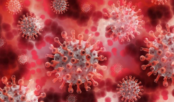 Virologe Klaus Stöhr sieht in den Infektionen die schnellste Möglichkeit, die Pandemie zu beenden. Symbolbild: Pixabay