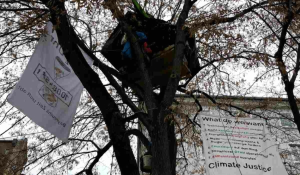 Klimaaktivisten protestierten seit dem 24. November 2021 auf einem Baum am Luitpoldplatz in Bayreuth für besseren Klimaschutz. Doch nun ist Schluss. Bild: Jürgen Lenkeit