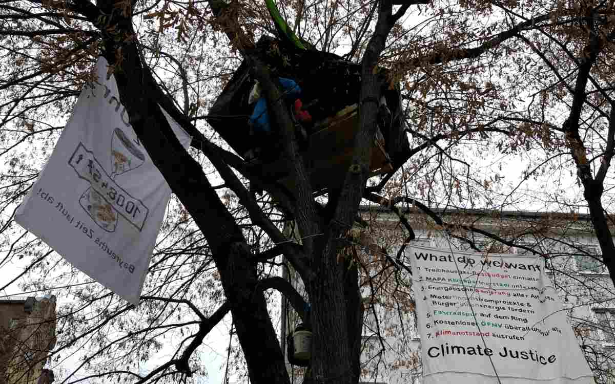 Klimaaktivisten protestierten seit dem 24. November 2021 auf einem Baum am Luitpoldplatz in Bayreuth für besseren Klimaschutz. Doch nun ist Schluss. Bild: Jürgen Lenkeit