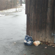 In dieser Plastitktüte wurde ein Kaninchen in Bayreuth ausgesetzt. Foto: Tierheim Bayreuth