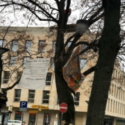 Klimaaktivisten protestierten seit dem 24. November 2021 auf einem Baum am Luitpoldplatz in Bayreuth für besseren Klimaschutz. Doch nun ist Schluss. Foto: privat