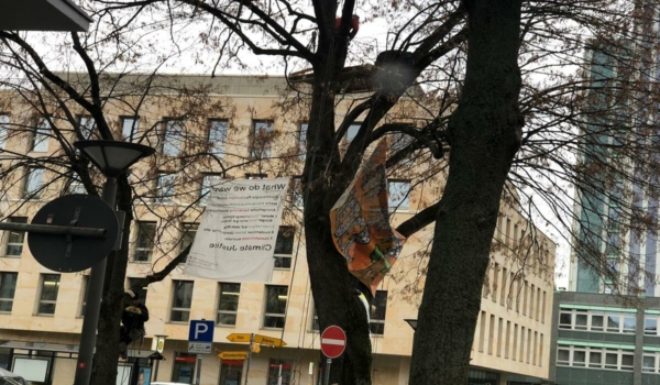 Klimaaktivisten protestierten seit dem 24. November 2021 auf einem Baum am Luitpoldplatz in Bayreuth für besseren Klimaschutz. Doch nun ist Schluss. Foto: privat