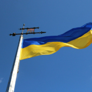 Die Bayreuther Tierrettung e.V. fährt am Mittwoch (15. März 2022) an die polnisch-ukrainische Grenze. Dort wollen sie Tieren, die durch den Ukraine-Krieg betroffen sind, helfen. Symbolbild: Pixabay