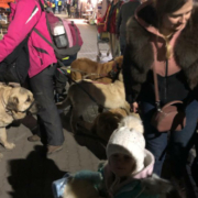 Während die Mitglieder der Tierrettung Bayreuth an der polnisch-ukrainischen Grenze halfen, machten sich Unbekannte auf ihrem Grundstück zu schaffen. Bild: Patricia Fuß-Beschta/Tierrettung Bayreuth e.V.