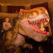 Die Lebendige Dinosaurier-Show kommt nach Bayreuth. Bild: Die Lebendige Dinosaurier-Show