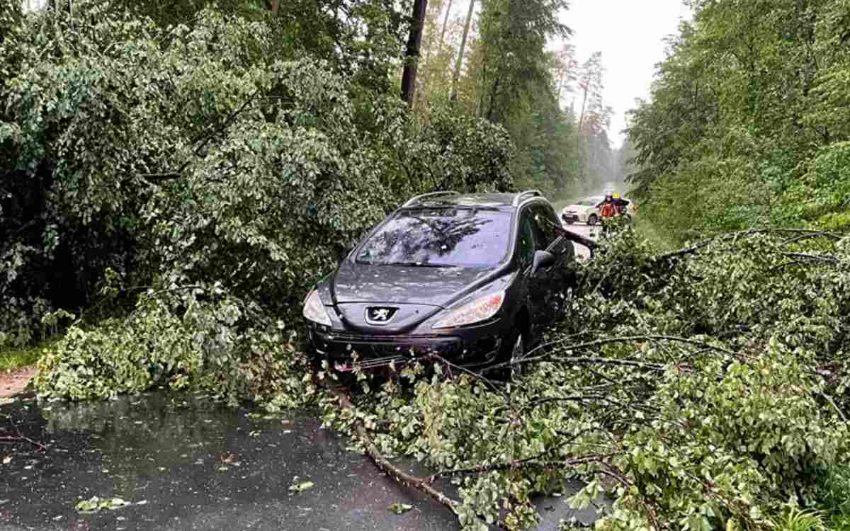 In Kalchreuth in Mittelfranken stürzte ein Baum auf ein fahrendes Auto. Bild: News5/Bauernfeind