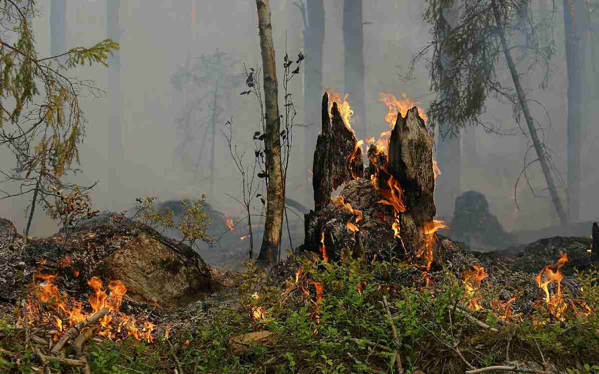 Waldbrand bei Bayreuth: Bei einem Kontrollflug konnte am 16. Juni 2022 ein Feuer bei Tiefenlesau ausgemacht und anschließend gelöscht werden. Symbolbild: Pixabay